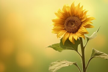 A yellow sunflower with a green background, created with Generative Ai Technology