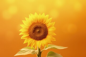 A single sunflower with a yellow background, created with Generative Ai Technology
