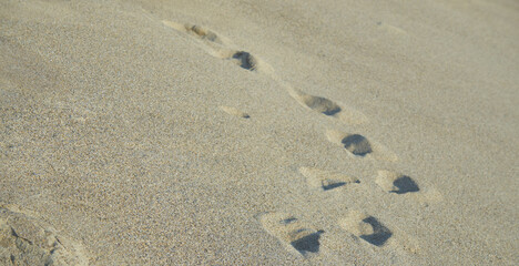 Fototapeta na wymiar Footprints in the beach sand. Beach concept. stock photo