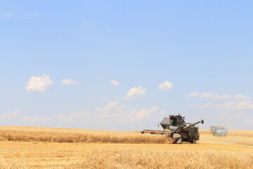 Fototapeta premium A machine in a field