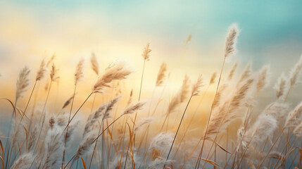 Wheat stems on the sunlight