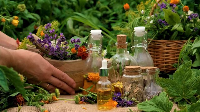 plant and herb tinctures and extracts. Selective focus.