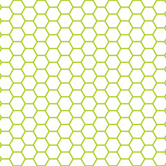 亀甲模様　黄緑　太