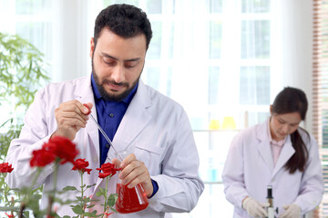 Botanist scientist holding flask and dropping red chemical extraction to red rose flower, biological researcher man does science experiment with plant in lab, chemist extract essential oil perfumes. - obrazy, fototapety, plakaty