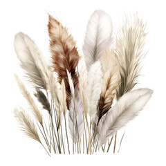 watercolor  pampass grass illustration, generative ai