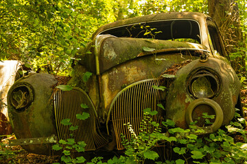old abanoned car in a forest
