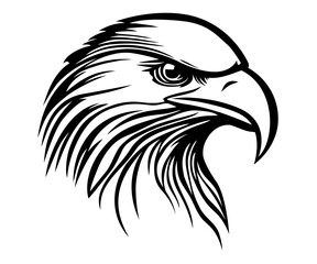 Eagle head, outline design, vector illustration. 