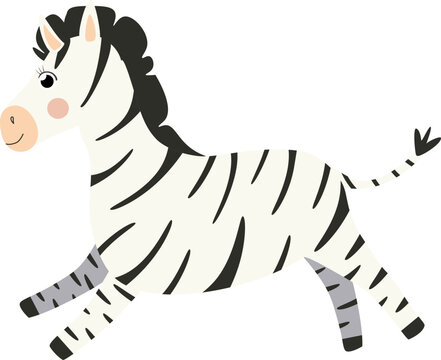 Vector illustration of zebra character in cartoon style