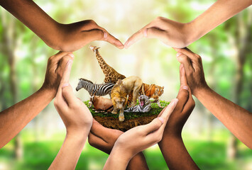 Wildlife Conservation Day. wildlife protection, multiracial human come to build hands in shape of heart to protect the environment. promote conservation wildlife. green background Sun light. Ecology.