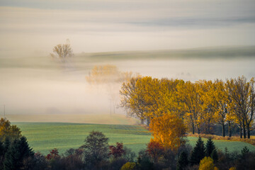 Naklejka na ściany i meble Foggy Autumn Morning in Rural Landscape.Foggy Autumn Morning in Rural Landscape
