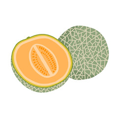 Cantaloupe cute