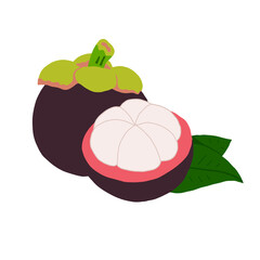 Mangosteen