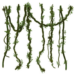 A 3d rendered illustration of fantasy jungle hanging vines  filled with green lush as an overlay.  © HWWO Stock