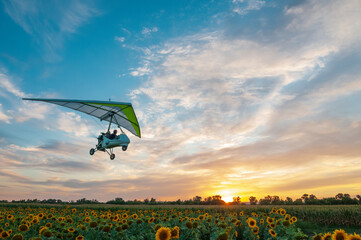 Motorized hang glider trike plane flies low above beautiful sunflower field