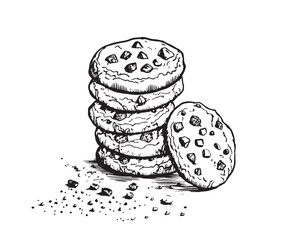 Cookies vector sketch line drawing black on white