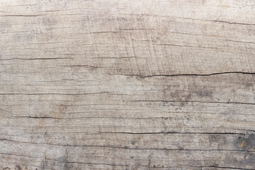 Old wooden texture, natural cracks, copy space suitable for background, top view.