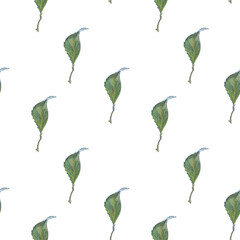 Pattern with green rose leaves of different shades, seamless. Watercolor illustration, hand-drawn. For printing wallpaper, fabric, packaging, scrapbooking, textiles. Isolated on a white background