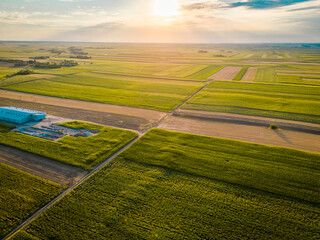 Golden Farm Crops: Aerial View of Abundant Harvest in Serene Fields