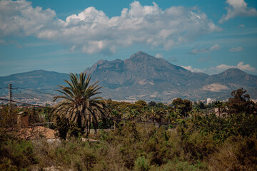 mountains, palm trees, vegetation, Alicante, sunny weather, Spain, summer, resort, rest, sky, clouds, fair weather