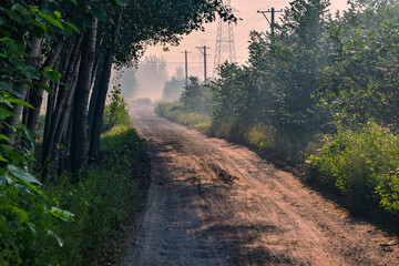 Naklejka premium The dirt road in the fields at sunrise in the early morning