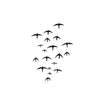 vector illustration of flock of swallow birds flying