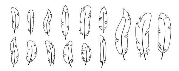
Set feathers isolated on a white background. Vector illustration in outline style. For cards, logo, decorations, invitations, boho design.