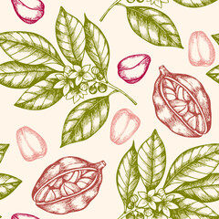 Seamless pattern with cola nuts. - 619104544