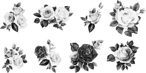 Hand-drawn vector black and white rose clipart with gold line art, blossom at retro engraving style. Bouquet roses for invitations, cards, wall art, card decoration, logo and other. Eps clipart