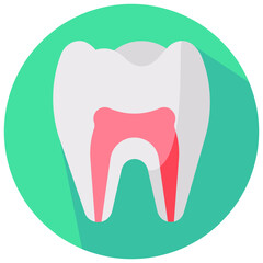 tooth anatomy round flat vector icon