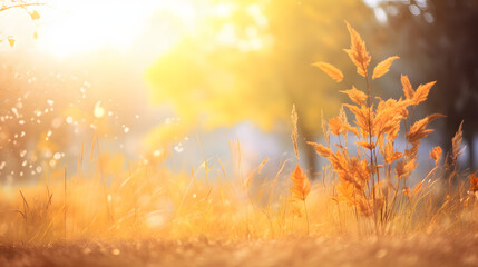 Art autumn sunny nature background