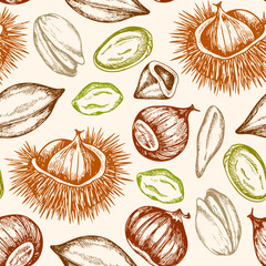 Seamless pattern with pistachio and chestnut. - 619107563