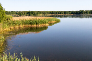 Jezioro okolice Milicza