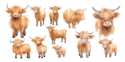 watercolor baby Highland cow clipart for graphic resources - obrazy, fototapety, plakaty