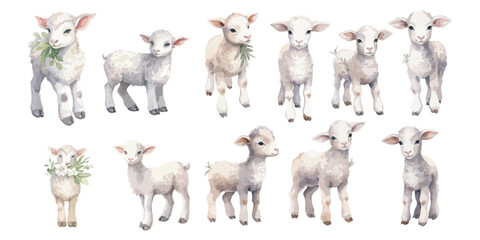watercolor baby goat clipart for graphic resources