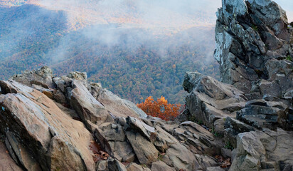Obraz premium Early morning mist from the summit of Hawksbill, Shenandoah National Park, Virginia