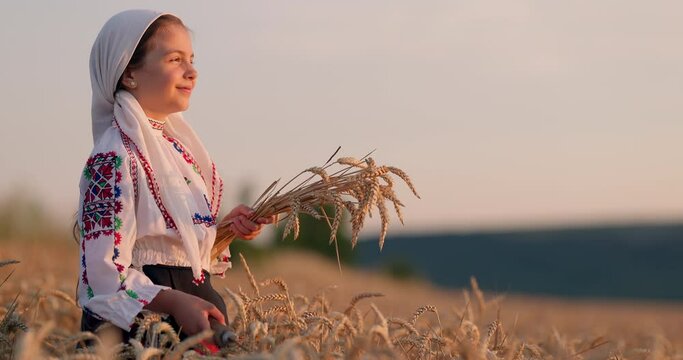 Wheat field sunset harvest and farmer woman bulgarian girl in ethnic folklore costume hold golden wheat straws and sickle in hands, harvesting and agriculture in Bulgaria