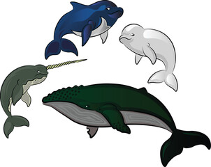 SET DESIGN VECTOR OF WHALE FOR EDUCATION AND CHILDREN BOOK ILLUSTRATION
