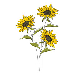 Vector bunch of sunflowers. Helianthus flower bouquet icon. Line continuous drawing. Linear floral illustration. Graphic design, outline print, beauty branding, card, poster, logo. Symbol of Ukraine.