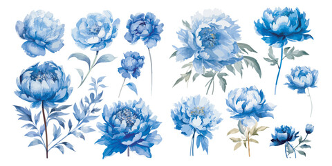 watercolor blue peony clipart for graphic resources © Dgillustration12u