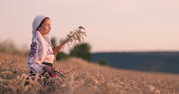 Wheat field sunset harvest and farmer woman bulgarian girl in ethnic folklore costume hold golden wheat straws and sickle in hands, harvesting and agriculture in Bulgaria