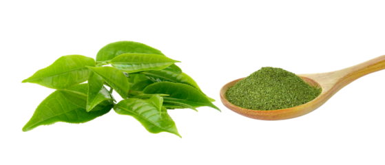 tea leaf and dry green tea isolated on transparent png