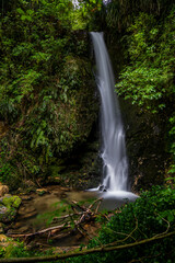 waterfall in the jungle