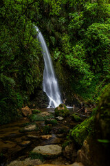 Obraz premium waterfall in the jungle