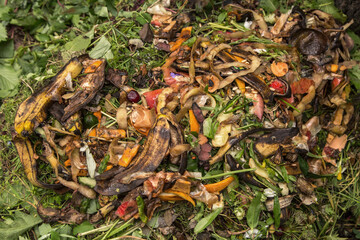 Compost pile in garden close up. Bio waste, vegetable fruit scraps background, texture. Zero waste...