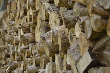 Tocos de madeira cortados para forno a lenha