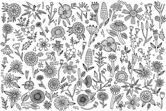 Set outline decorative flower and leaf. Naive vector collection botanical nature blossom and plant. Hand drawn floral bouquets, leaves, crop with decorative elements