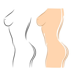 Female body, vector illustration. Young woman in profile, cartoon style