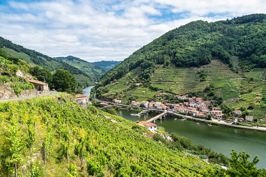 View of Canyon del Sil from Belesar in Parada de Sil in Galicia, Spain, Europe