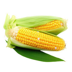 Delicious sweet corn isolated on transparent background, png clip art. Generated with AI.