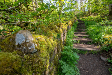 UK Farmland and Countryside - North Yorkshire Moors